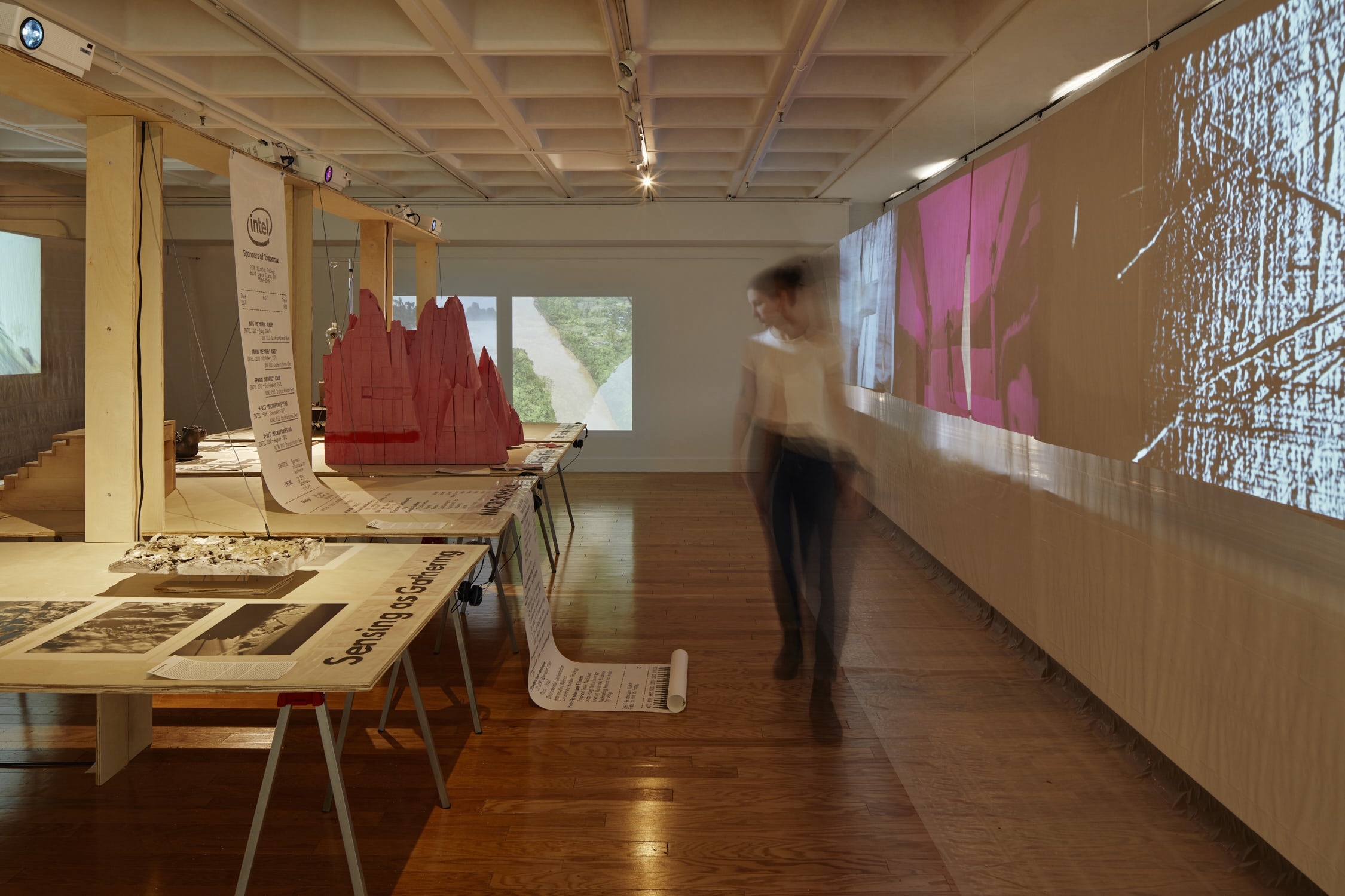 The Deep Time Project - Wiesner Gallery